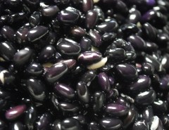 black_beans
