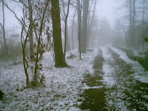 This was the shorter of our two driveways. Whenever it snowed, Dad would shovel it open by hand. 