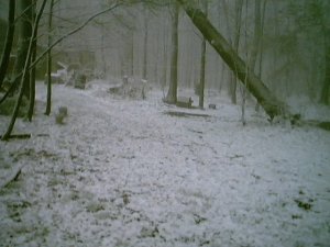 Real snow! In Pennsylvania. In late April. (not lying. But this was a while ago)