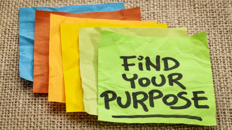 Verbs vs Nouns vs Careers vs&nbsp;School