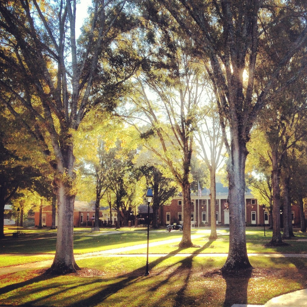 Questioning the purpose of higher education. What if both sides are&nbsp;wrong?