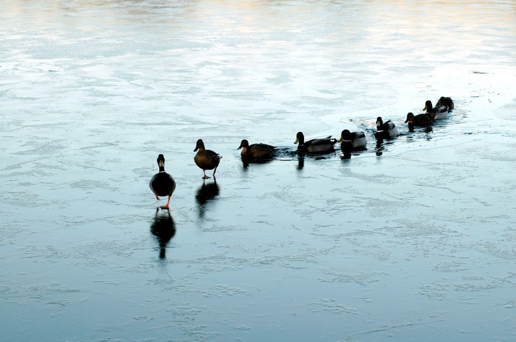 To my 20-something self: Make a career&nbsp;plan